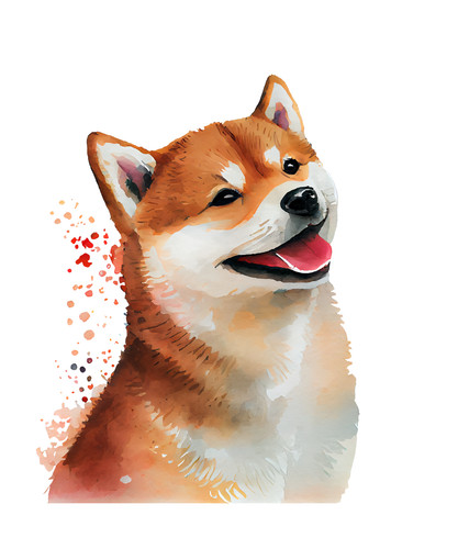 Adesivo auto cane shiba inu - auto,