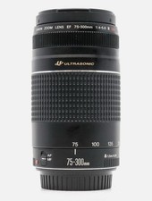 Canon EF 75-300mm f/4-5.6 III