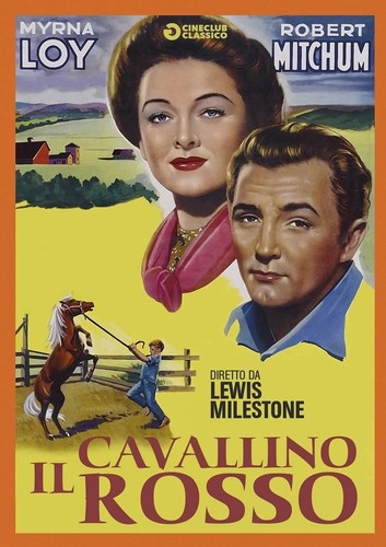 Dvd cavallino rosso - rosso, (il)