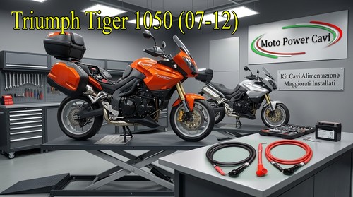 Triumph tiger 1050 - triumph, (07-12)