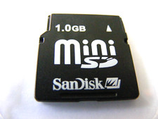 Scheda Mini SD 1GB (scheda MiniSD 1GB) SanDisk usata 