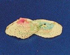 5SCATOLE SC RETINA RICAMBIO LAMPADA A GAS 2 PZ: