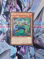Yu-Gi-Oh! Soldato Allenatore