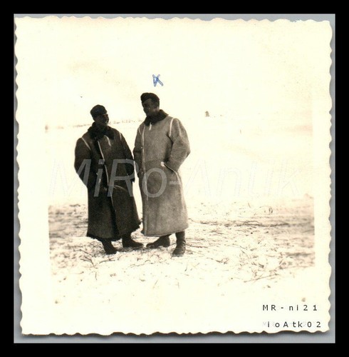 Foto ww2 230 lt - ww2,, 2./i.r.230,
