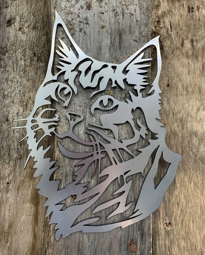 Gatto main coon - main, arte