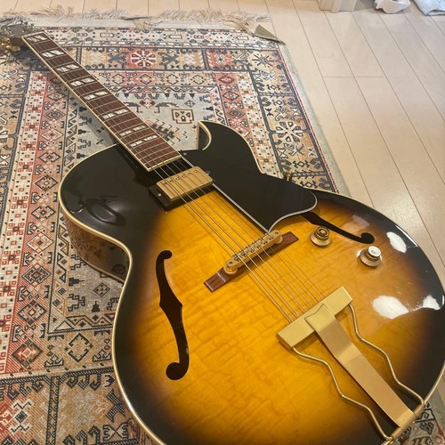 Chitarra elettrica acustica