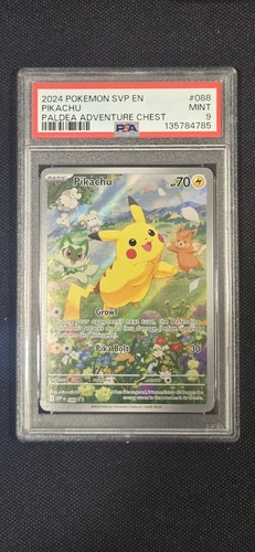 Pokemon pikachu paldea - pokemon,
