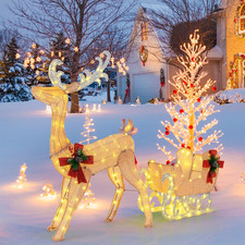 Slitta E Renne Luminose Con