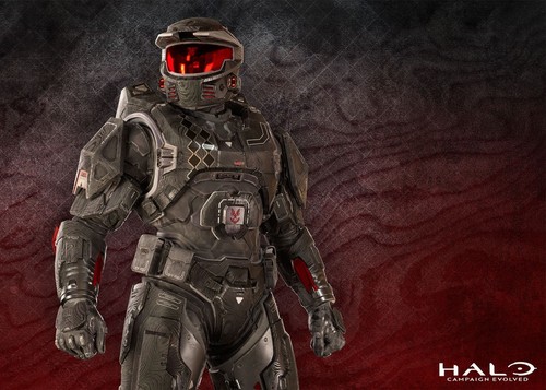 Halo campaign evolved - halo,