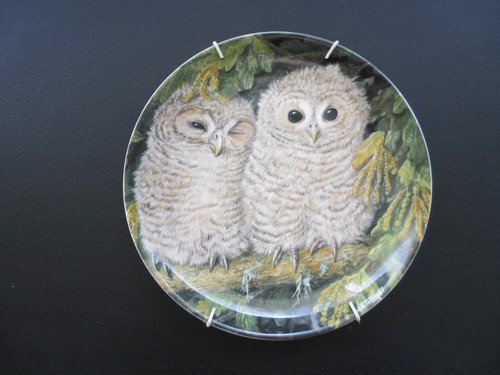 Vintage wedgwood decorazione - -,