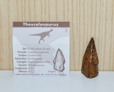 Artiglio Dinosauro