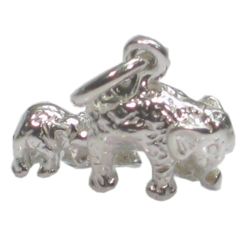 Ciondolo argento sterling - in,