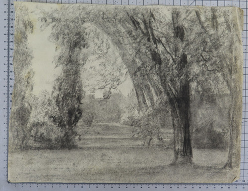 Paesaggio carboncino carta - paesaggio,