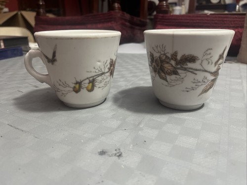 Pair ginori primi 900 cups - of,