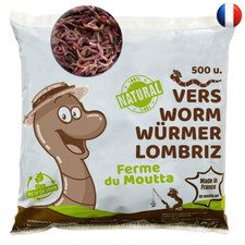Vers de compost / Lombric pour