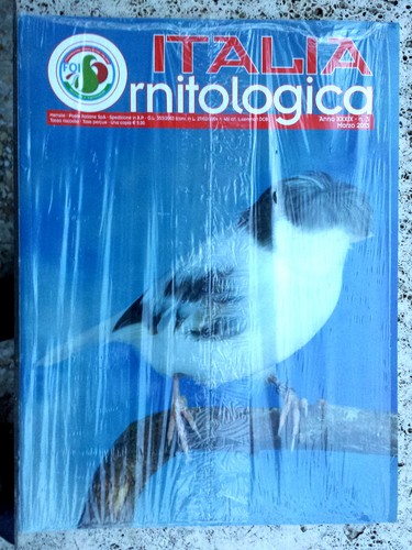Italia ornitologica marzo - italia,
