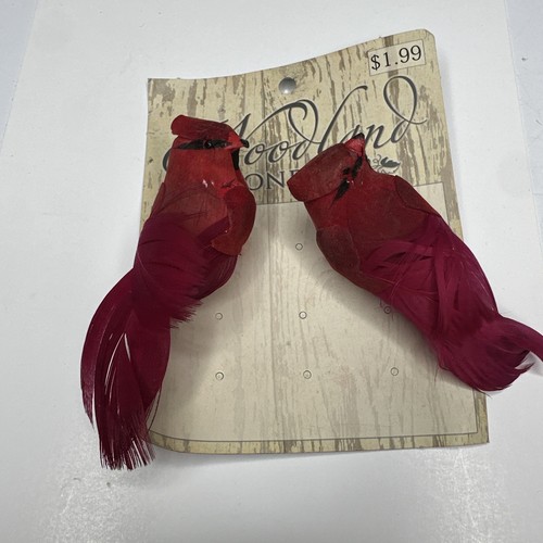 Polistirolo rosso cardinale - 2,