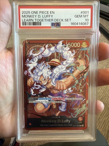 2025 one piece impara - 2025,