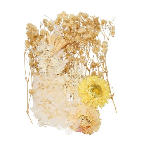 Fiori secchi pressati - secchi,