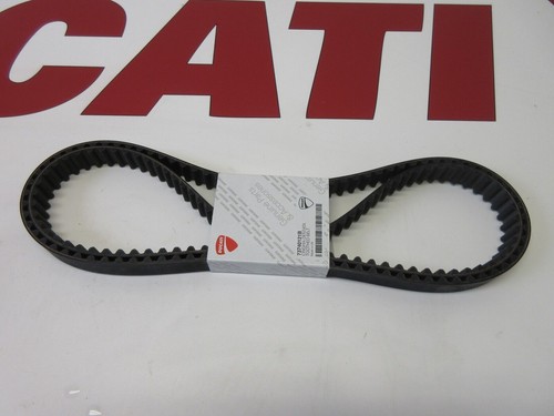 Cinghie camme dentate ducati - camme,
