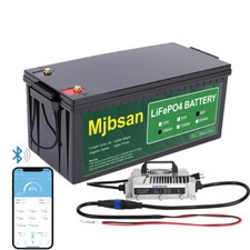 36V 100Ah Lithium Golf Cart