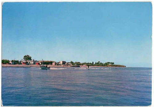 Mirto crosia - -,
