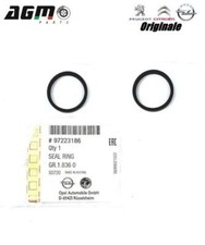 KIT 2 GUARNIZIONI RADIATORE