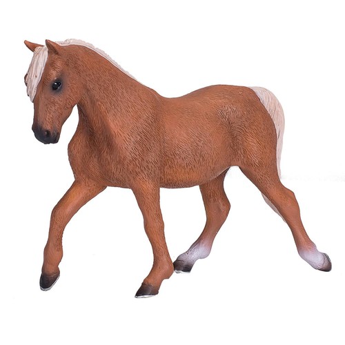 Morgan stallone palomino - morgan,