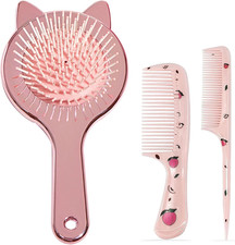 Set Spazzola Districante per