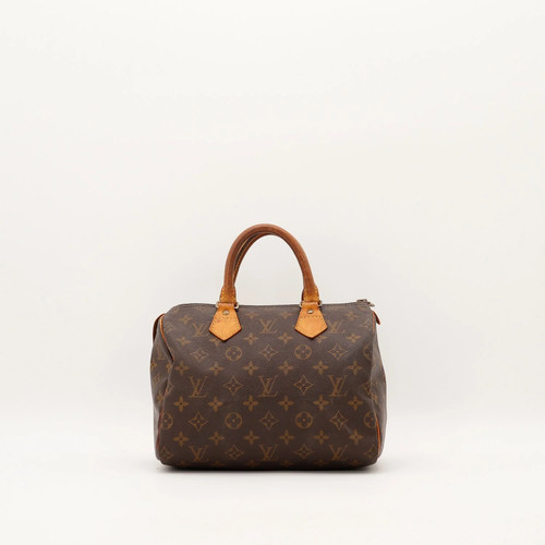 Sac main louis vuitton - main,