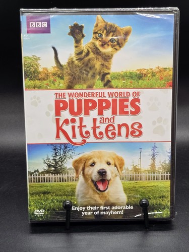 The wonderful world puppies - wonderful,