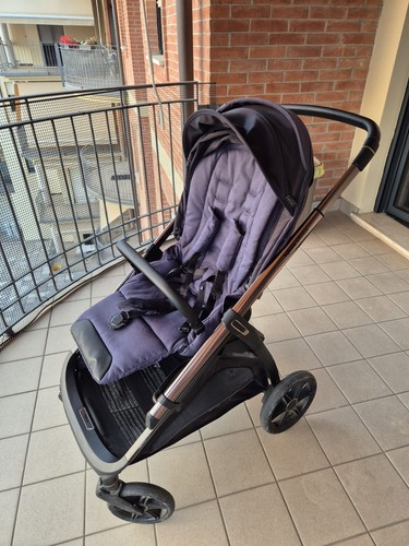 Trio inglesina aptica - aptica, –
