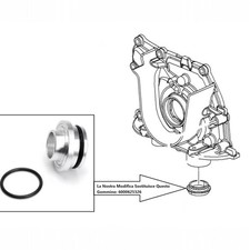 Modifica Guarnizione Pescante