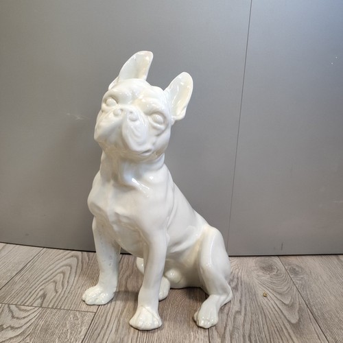 Cane bulldog francese - cane,