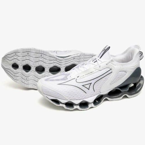 Mizuno wave prophecy - mizuno, 14