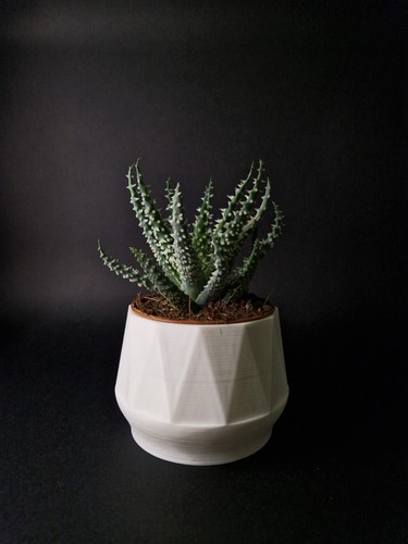 Vaso portavaso stampato - vaso,,