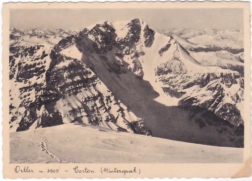 Ortler bolzano coston - ortler,