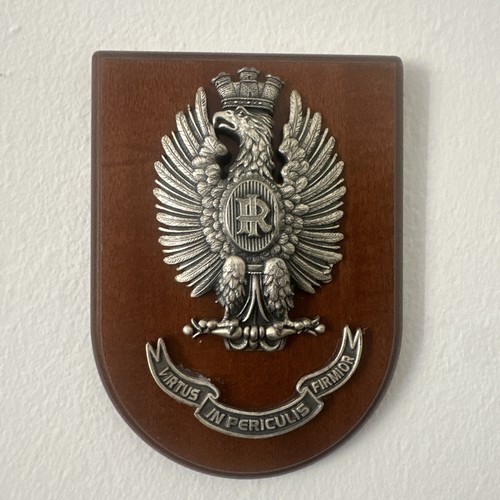 Crest militare - militare,