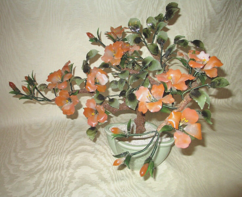 Grande bonsai giada - grande, di