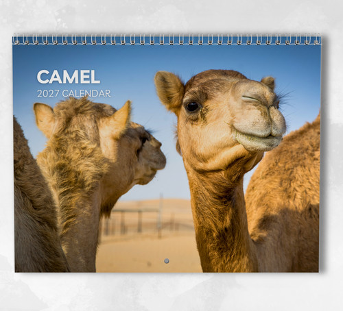 Calendario cammello 2027