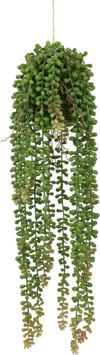 Senecio pianta artificiale - -,
