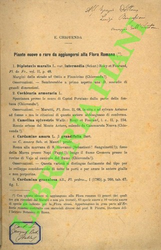 Chiovenda piante nuove o - e.,