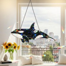 Orca Balena Acrilico