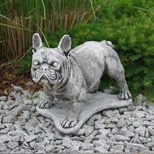 Bulldog francese cane bullo statua in pietra H.34 cm 22 kg cemento antigelo