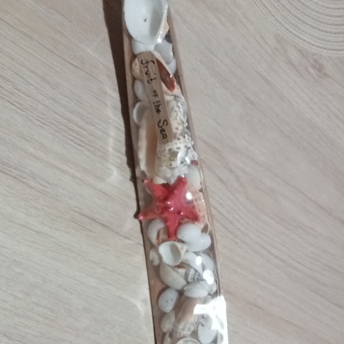Decorazione mare conchiglie - , e