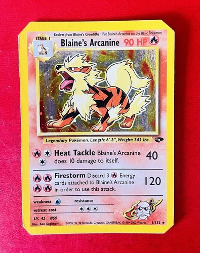 Lotto carte pokemon blaine - carte,