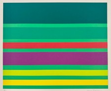 Mauro Reggiani  LUNERI