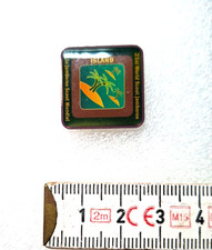 Spilla smaltata SCOUT 21°