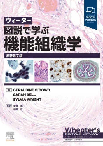 Wheater functional histology - wheater's,