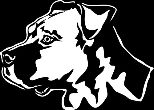 Adesivo american staffordshire - adesivo,